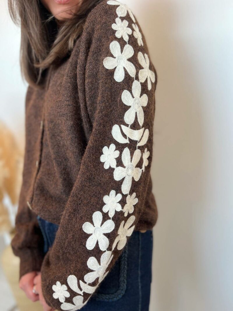 gilet broderie marron 2