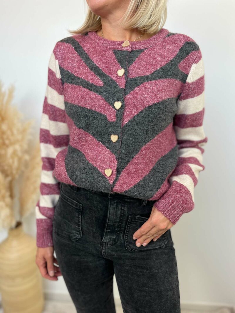 gilet imprimé gris framboise 3