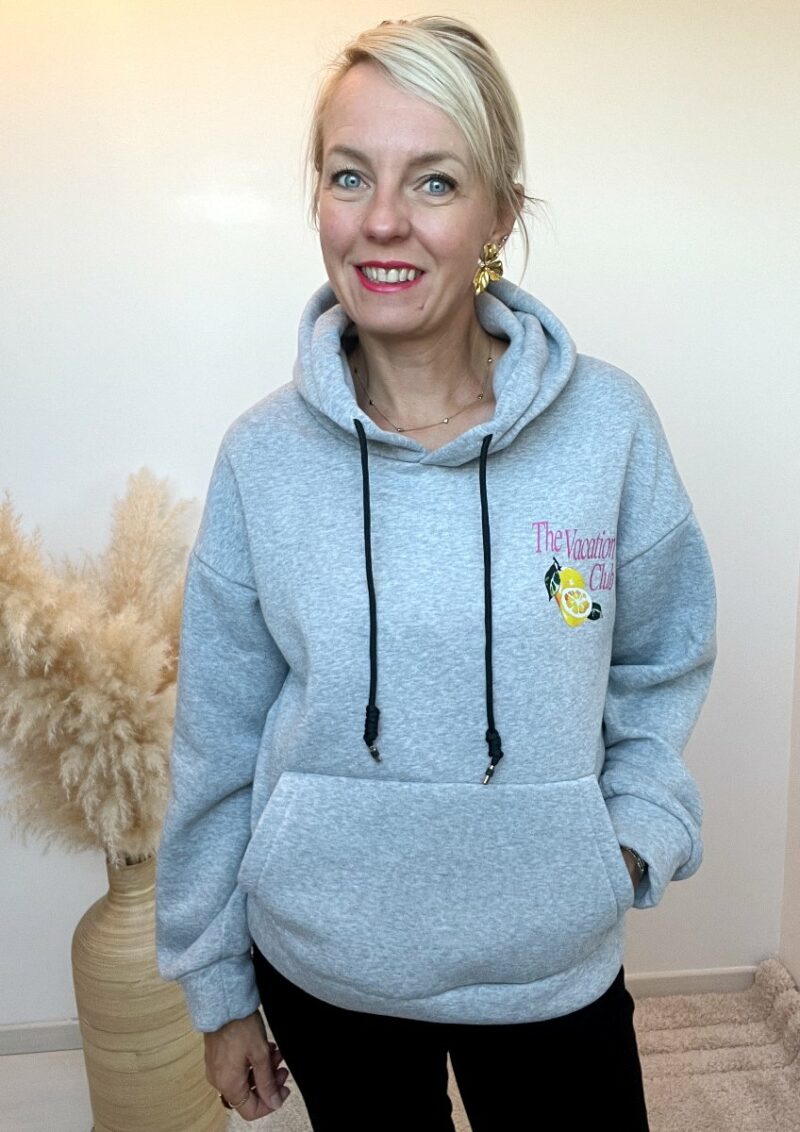 sweat capuche gris